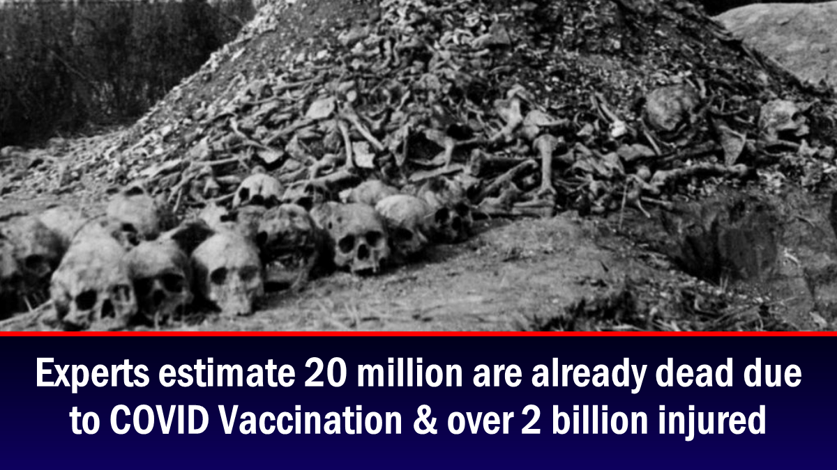 Experts estimate that 20 million people have died and more than 2 billion have been injured due to the COVID vaccine