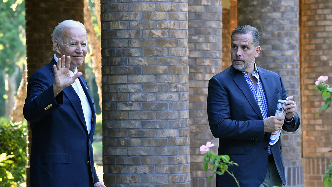 Republicans Plan to Investigate Hunter Biden's China Business Deals: Biden: