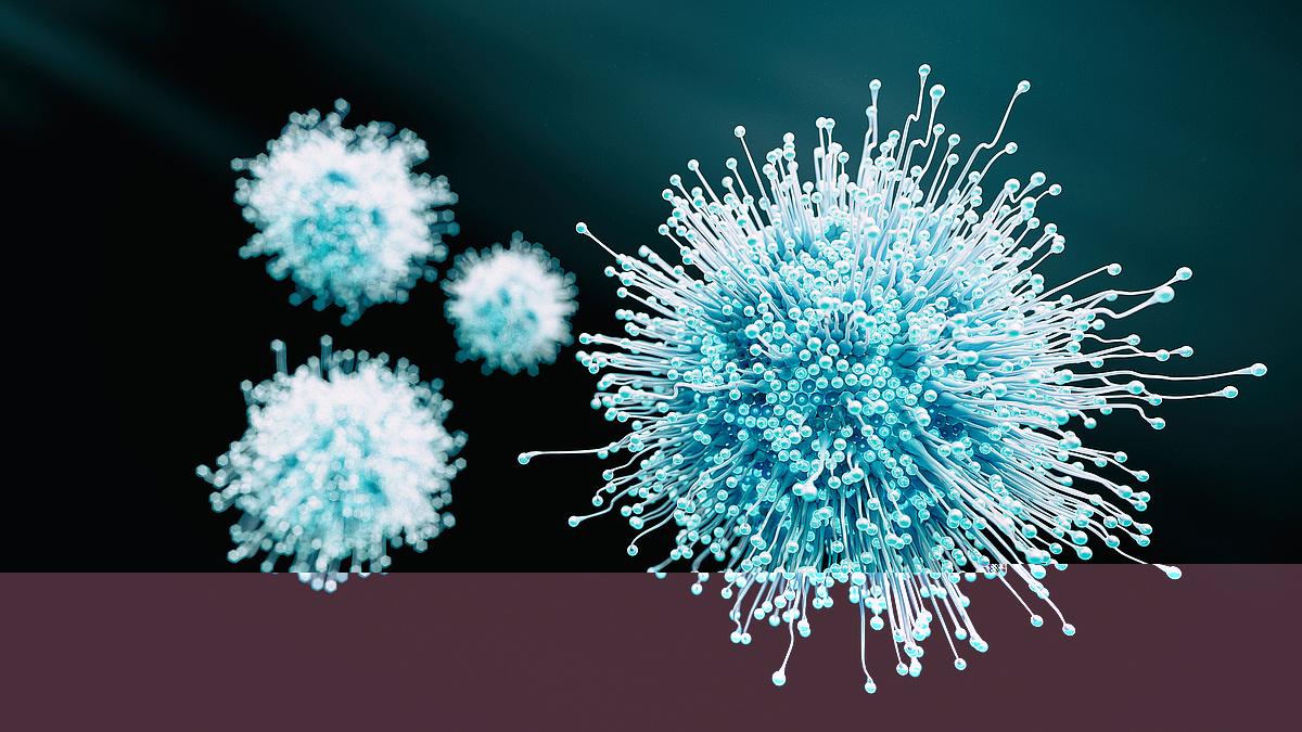 The coronavirus epidemic may end next year
