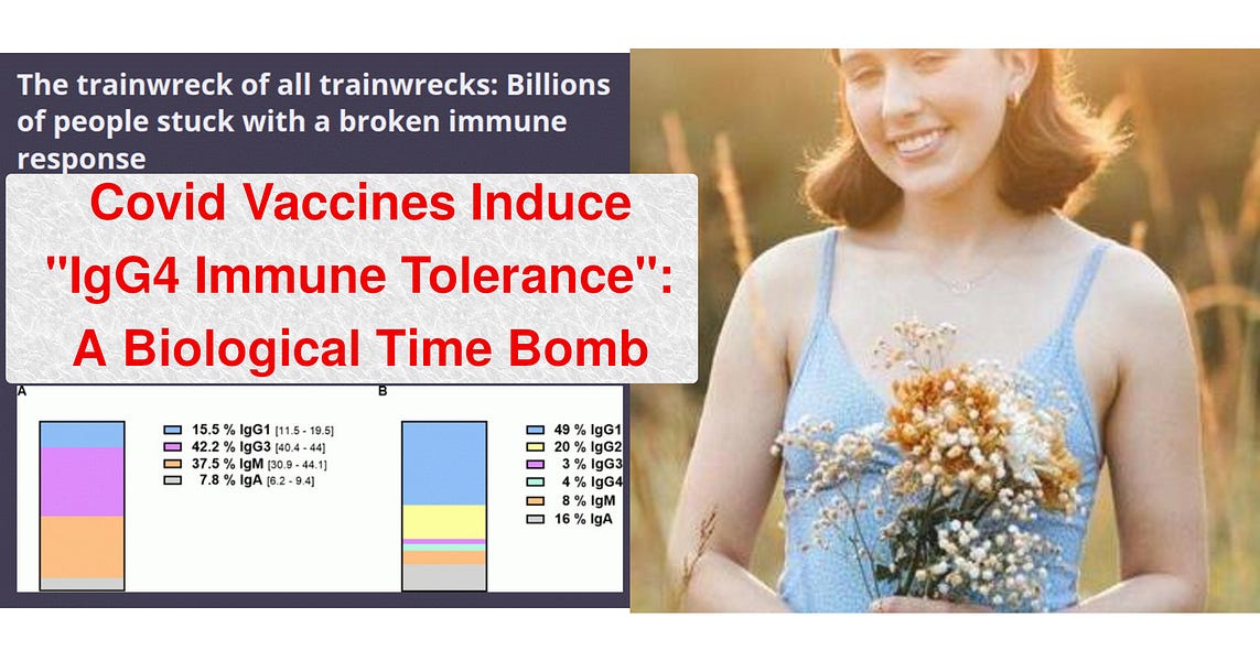 Booster-induced immune tolerance explains excess mortality and