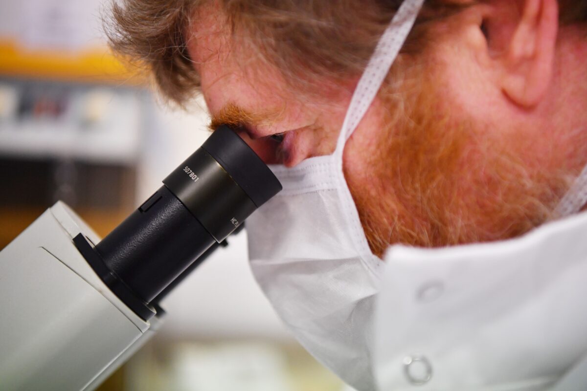 More than 300 COVID-19 papers retracted for failing to meet scientific soundness standards More than 300 COVID-19 papers retracted for failing to meet scientific soundness standards