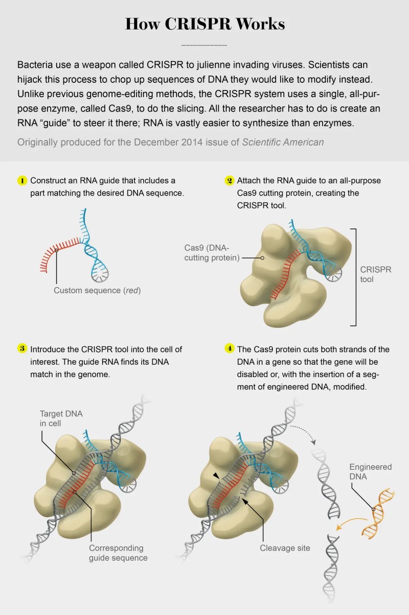 Biological Hacking of Disease X, COVID-19, and the Next Pandemic