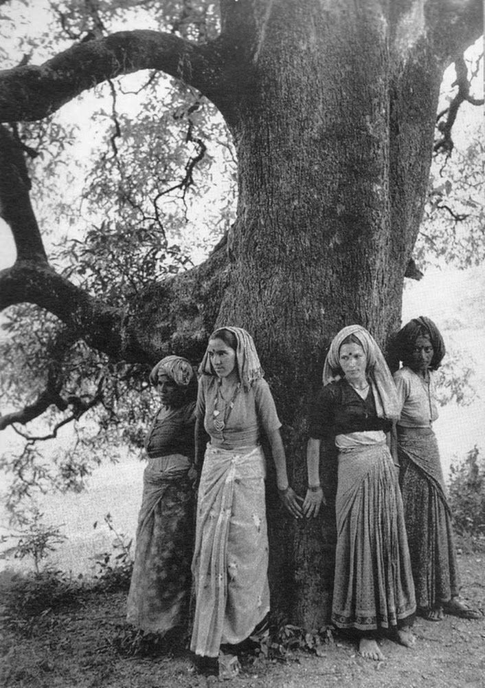 Le donne Chipko