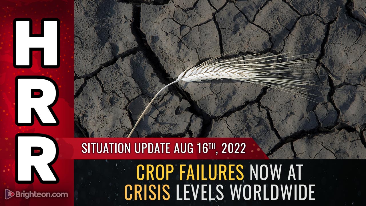 La perdita di raccolto è già a livello di CRISI in tutto il mondo poich le Nazioni Unite dichiarano guerra ai fertilizzanti