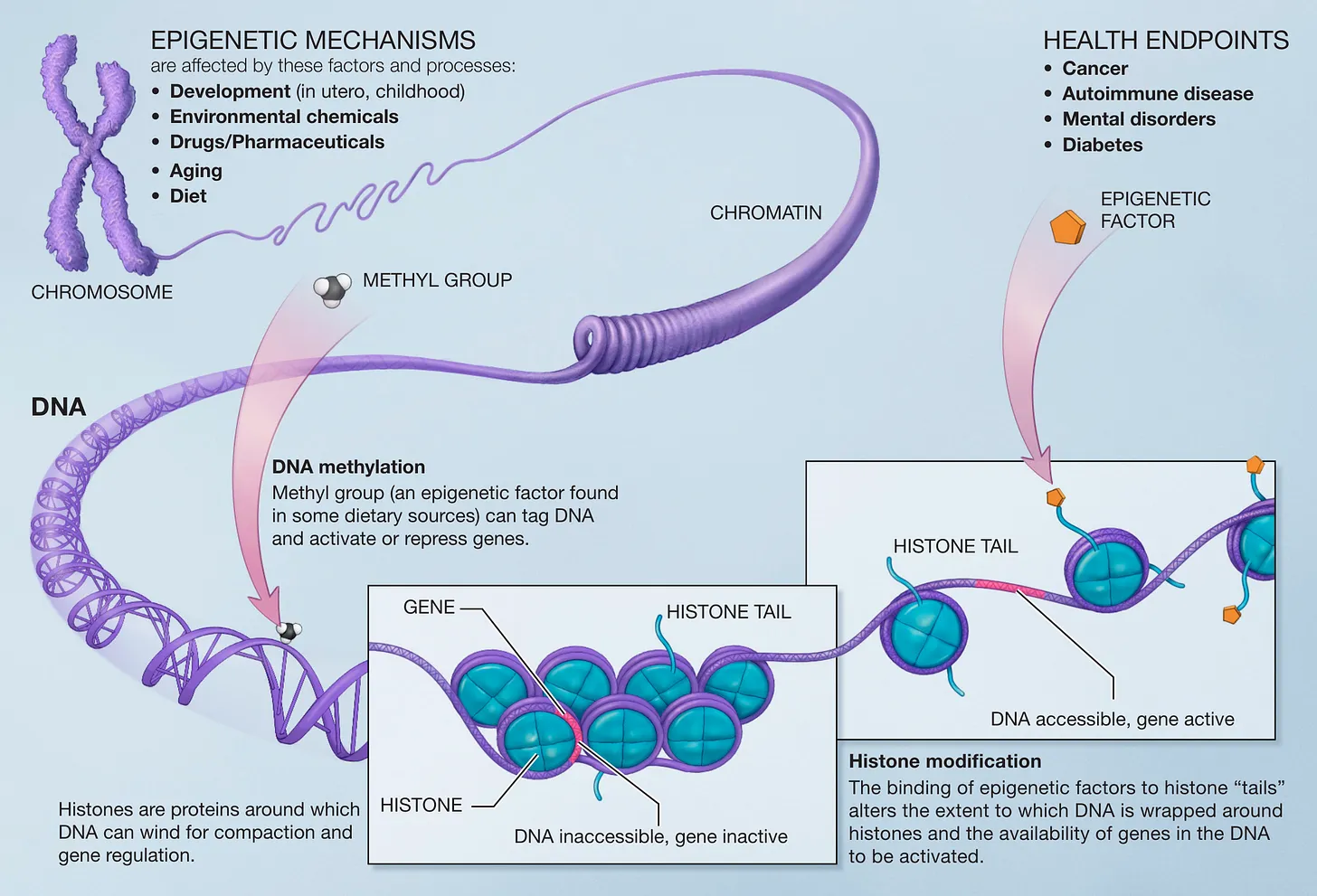 Le iniezioni di COVID-19 contengono fattori epigenetici che causano cancro, autoimmunità, disturbi neurologici, diabete e altro?