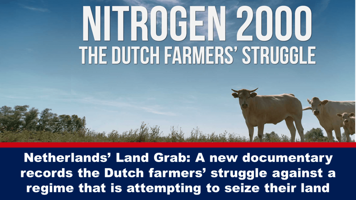 Pag-agaw ng lupa ng Holland: Isang bagong dokumentaryo ang kumukuha ng pakikibaka ng mga magsasaka ng Dutch laban sa isang rehimeng nagsisikap na kumpiskahin ang kanilang lupain