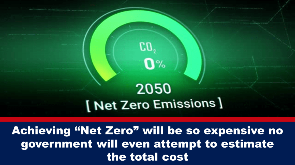 Ang pagkamit ng "Net Zero" ay magiging napakamahal na hindi na tatangkain ng gobyerno na tantyahin ang buong halaga