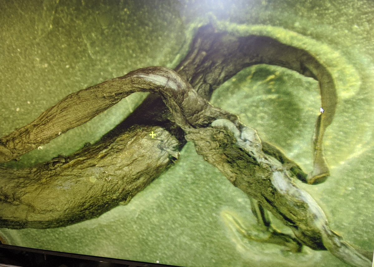 NATURE dergisi, biyolojik sistemlerde radyo frekansı elektroniklerini birletirmek iin grafenin nasıl kullanılabileceğini ortaya koyuyor.