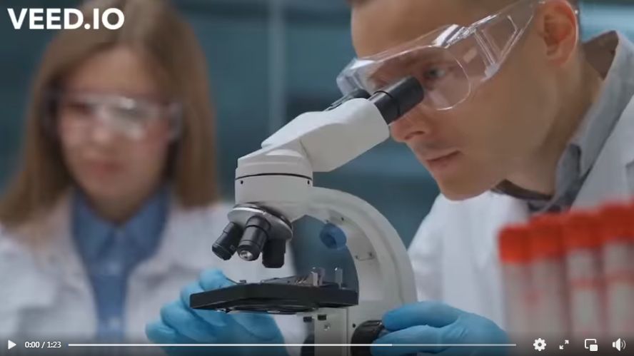 RESMİ: YALNIZCA Almanya'da yarım milyon CİDDİ aı hasarlı