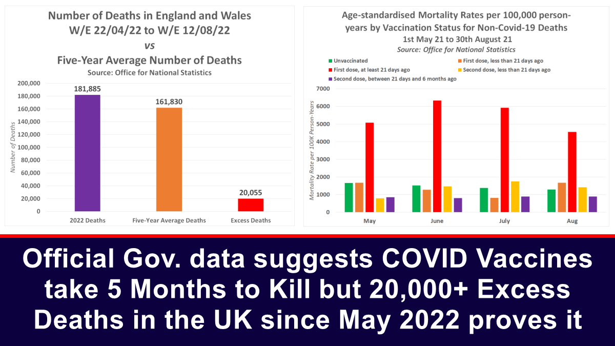 ตามตัวเลขของรัฐบาลอย่างเป็นทางการ วัคซีน COVID จะใช้เวลา 5 เดือนในการฆ่า แต่มีผู้เสียชีวิตมากกว่า 20,000 รายในสหราชอาณาจักรตั้งแต่เดือนพฤษภาคม 2565 เพื่อพิสูจน์สิ่งนี้